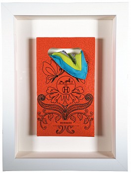 swl0062 hermes secret scarf