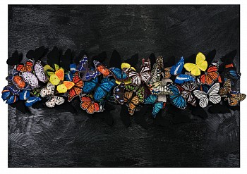 sws0640 moments that words don t reach