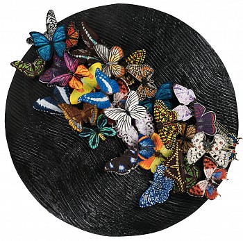 sws0649 forgivenessÃ¢â‚¬Â¦ can you imagine? rotation 135 degrees