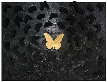 sws0652 beacon center reflection