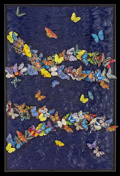 sws0654 the moments when youÃ¢â‚¬â„¢re in so deep it feels easier to just swim down no glare