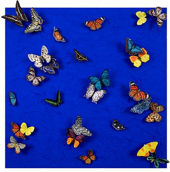 sws0662 where we belong