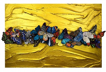 sws0671 give into love or live in fear