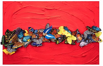 sws0672 with 1 000 sweet kisses i&Atilde;&cent;&acirc;&not;&acirc;&cent;ll cover you