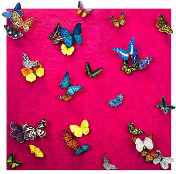 sws0685 let the world turn without you tonight