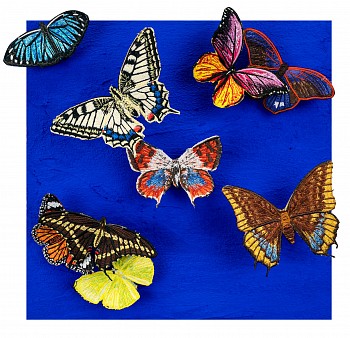 sws0693 my mind is clearer now