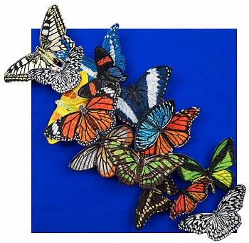 sws0694 could we start again please?