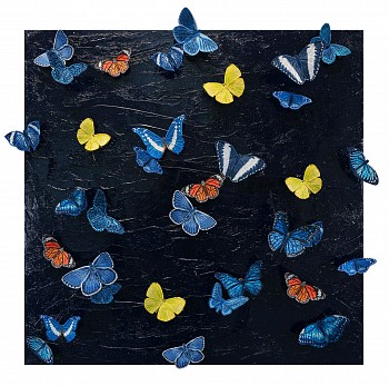 sws0698 poor man wanna be rich poor man wanna be king