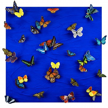 sws0703 and you toss and turn