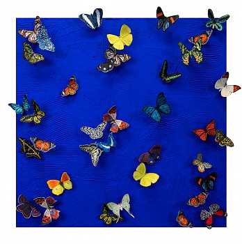 sws0704 why waste your breathe moaning at the crowd