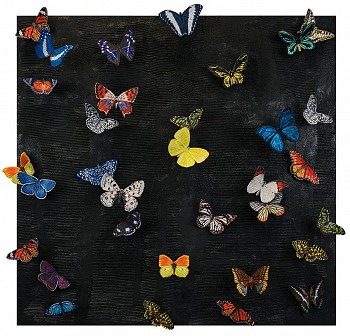 sws0705 this is just a dream