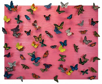 sws0707 open all night