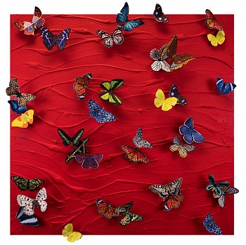 sws0713 hearts are never broken