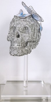 sws0097 julius skull 3 front