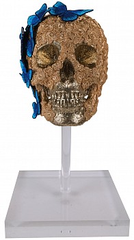 sws0543 penthesilea front