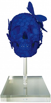 sws0617 blue skull clair front