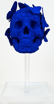 sws0668 pierre front