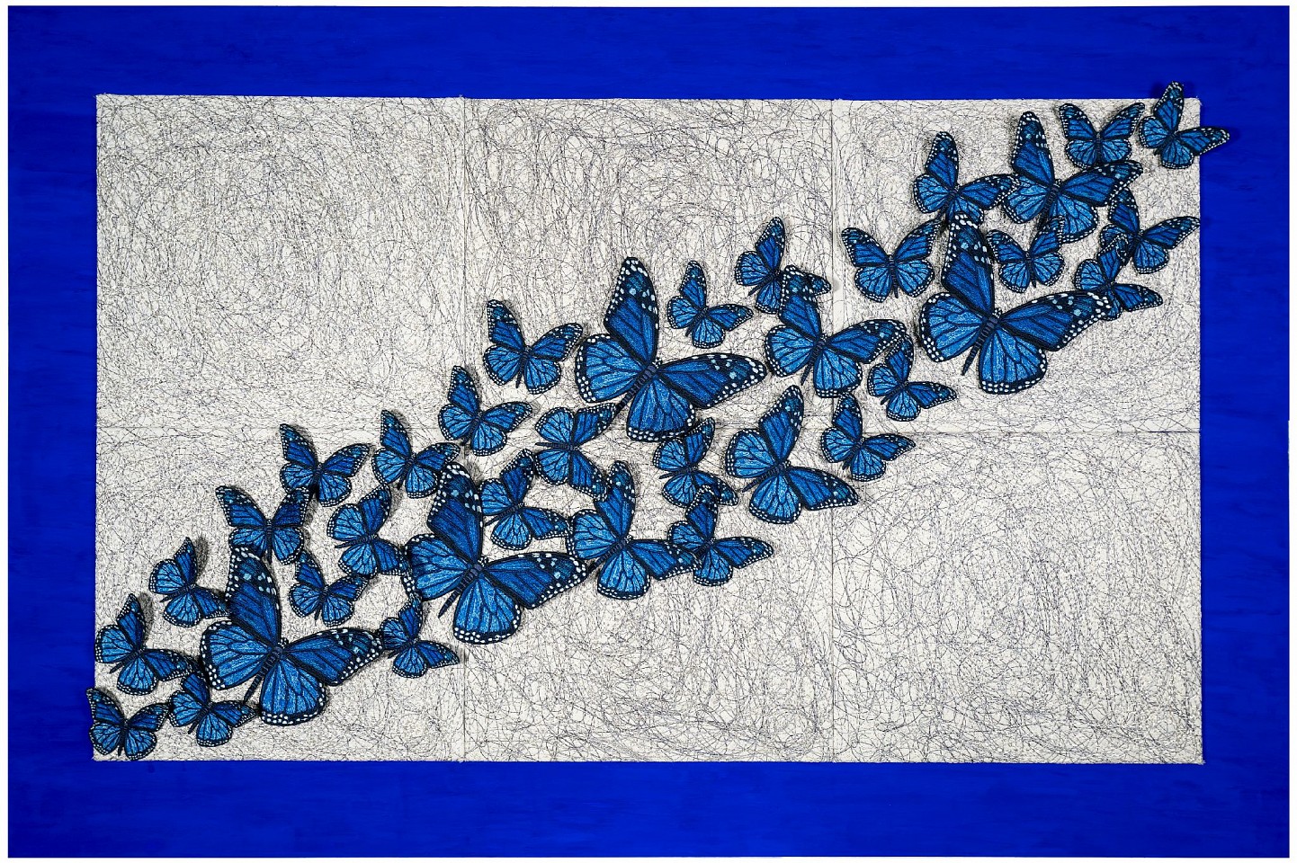 Stephen Wilson, Butterfly Migration
2017, Mixed Media
