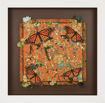 SWL0191 Hermes Fresh Cut I