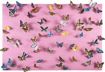 SWS0735 Planting Seeds in a Garden You Never Get to See