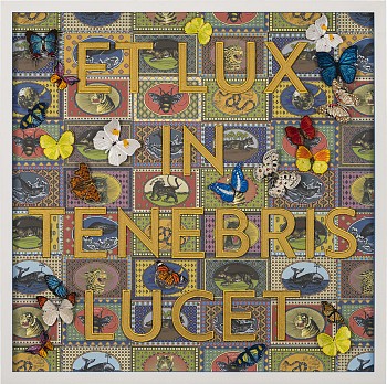 SWS0746 And the Light Shines in Darkness (I)