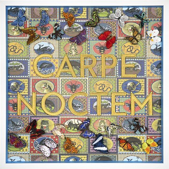 SWS0744 Seize The Night (I)