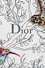 SWL0224 Dior Birds of a Feather detail3